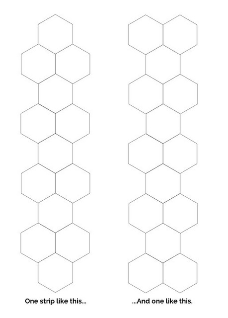 halfhexbutt-epp-diagram